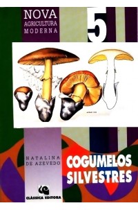 Cogumelos Silvestres