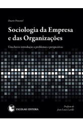 Sociologia da Empresa e das Organizações