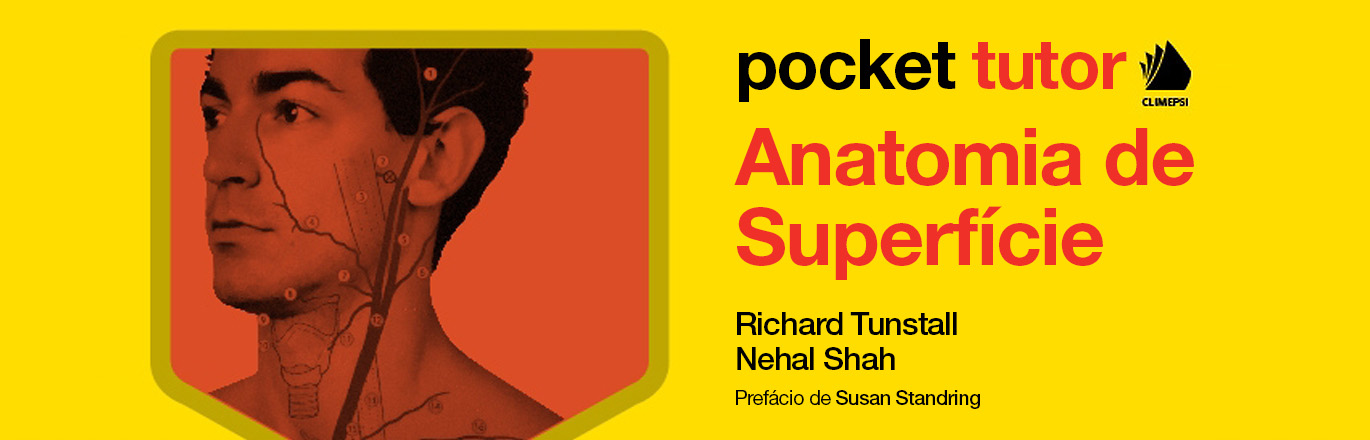 Anatomia de Superfície